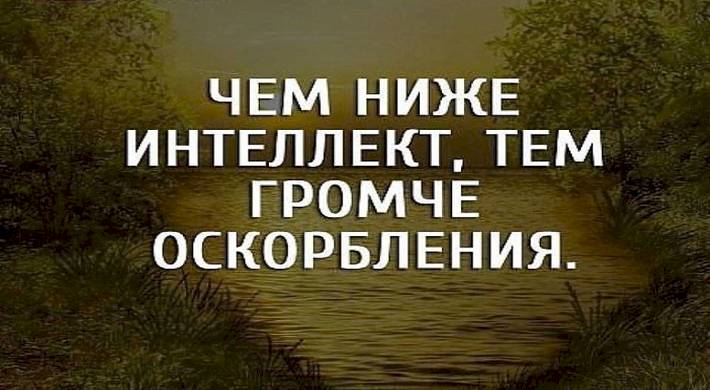 10013d37a95f57ea797f7d023949b14f63524.jpg