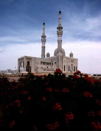 1006328_O381.jpg