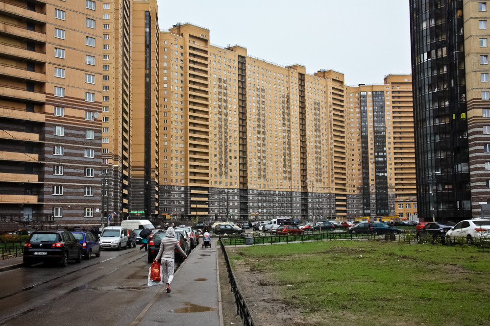 228372_1000.jpg
