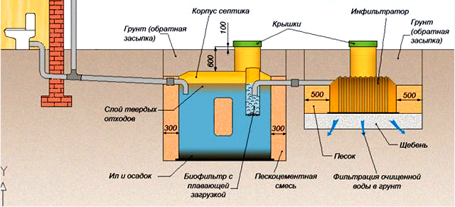 6g4ir1s3.jpg