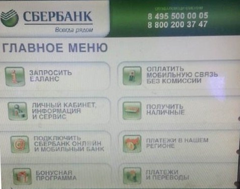 9595.jpg