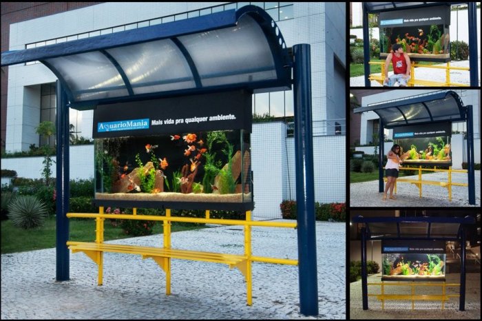 Bus-Stop-Aquarium.jpg