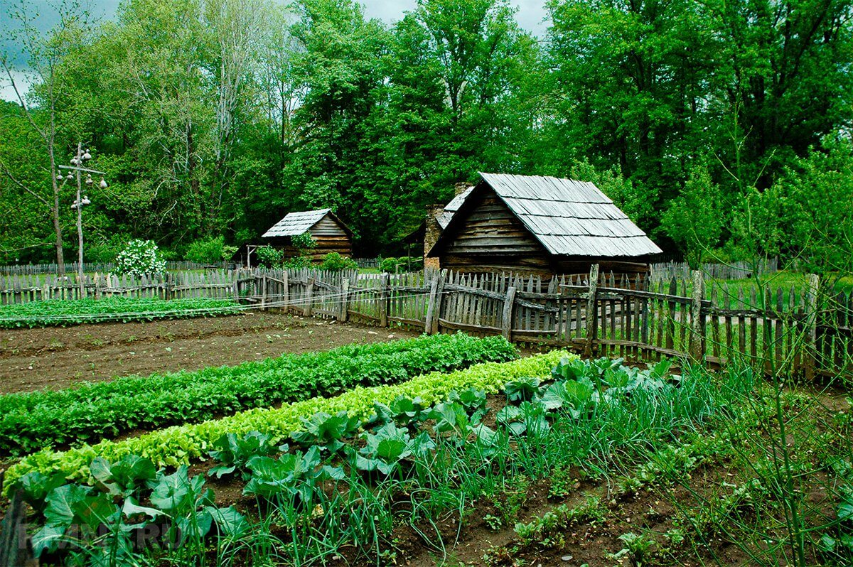 Dachnoe-hozyajstvo.jpg