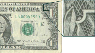 Owl_in_dollar_bill-320x180.jpg