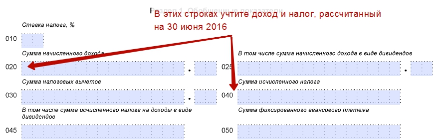 RIS.-3.jpg