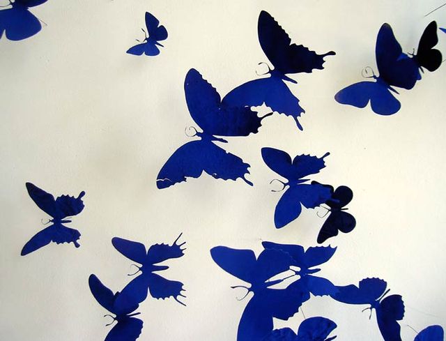 can-butterflies-10.jpg