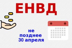 envd-1-1-e1467713896294-250x166.jpeg