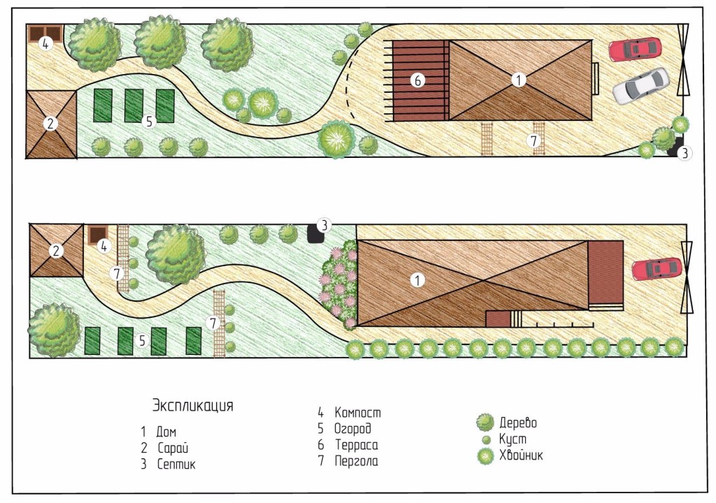 image-1.jpg