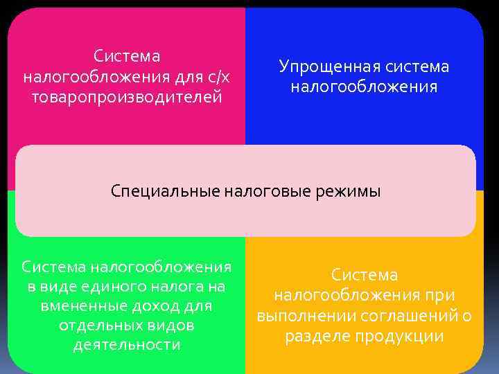 image-11.jpg