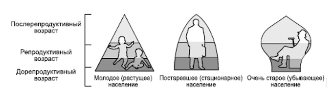 image003.jpg