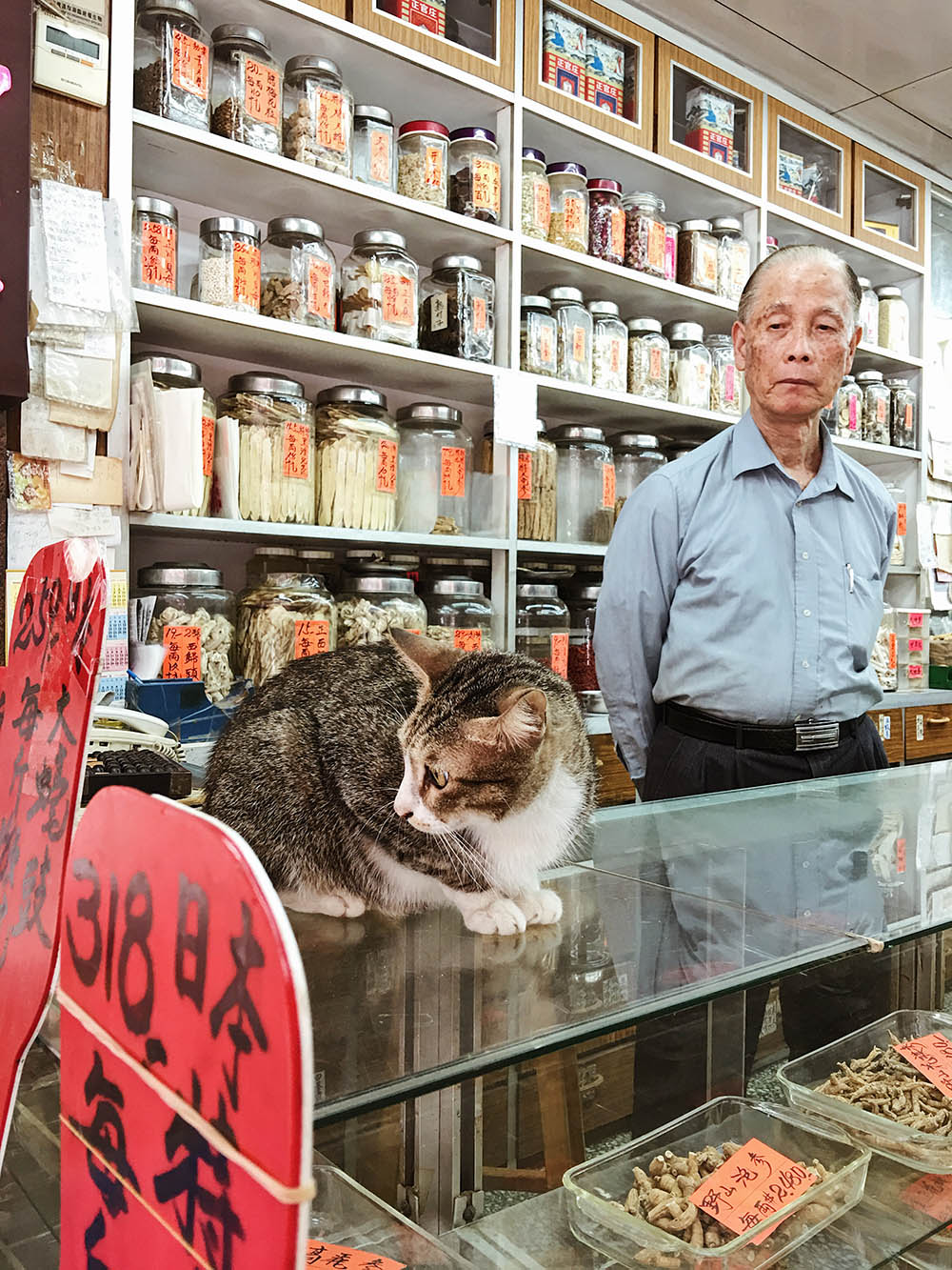 image64_hong-kong.fjh12kzbwizr.jpg