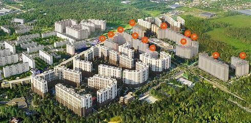 novograd-pavlino-07052019_490_auto_5_100.jpg