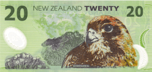 nzd20o-300x143.png