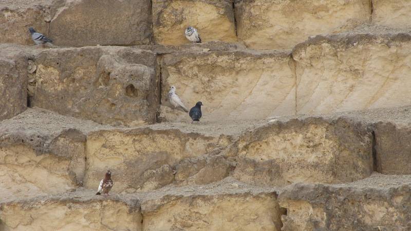 pyramid-04.jpg