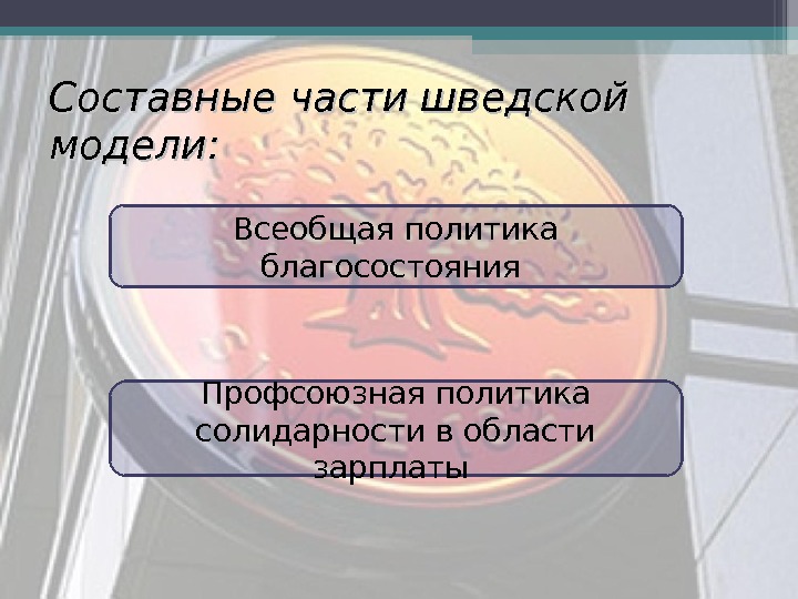 shvedskaya_model_ekonomiki_kopia_11.jpg