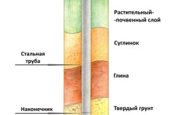 svaynyy-250x166.jpg